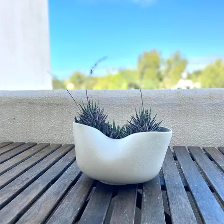 Do Carvoeiro, Quinta Do Paraiso *